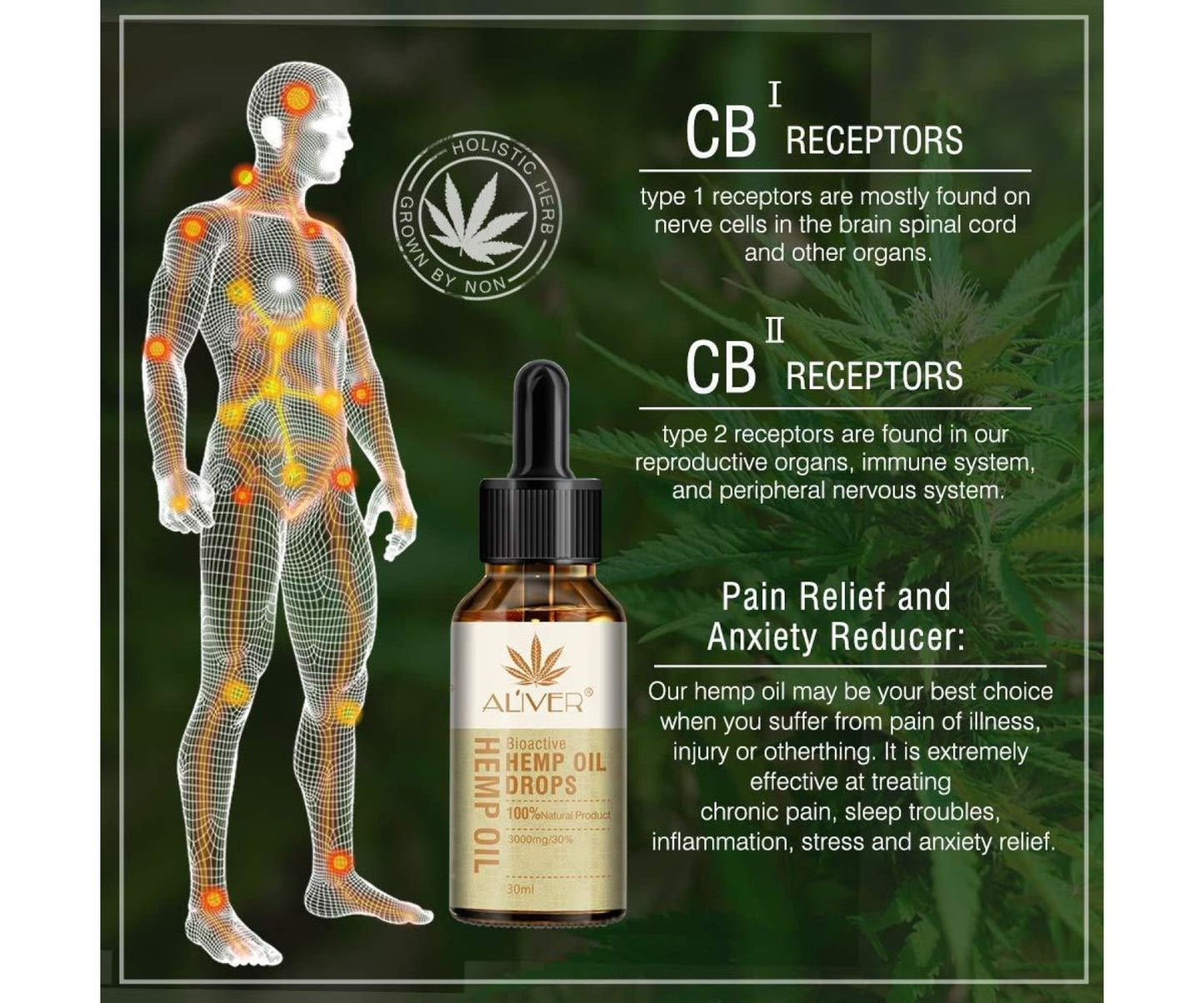 Hanf und Hemp - Aliver 2er Pack Organisches Hanföl 30% 3000mg -2x 30ml