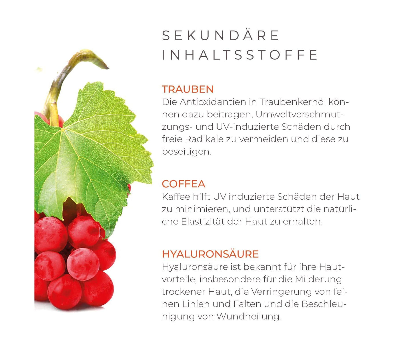 Hanf und Hemp - City Detox Tagescreme mit CBD LSF 20 von Indica mit Hanföl