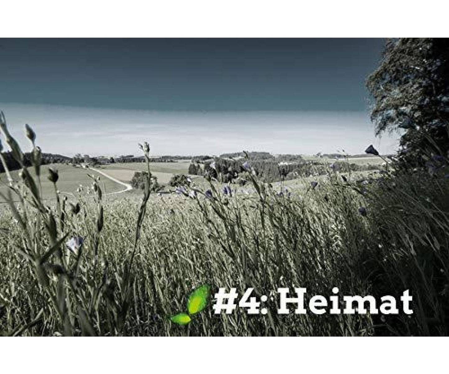 Farmgoodies - farmgoodies BIO Natur Hanfsamen Natur ungeschält im Ganzen 500g