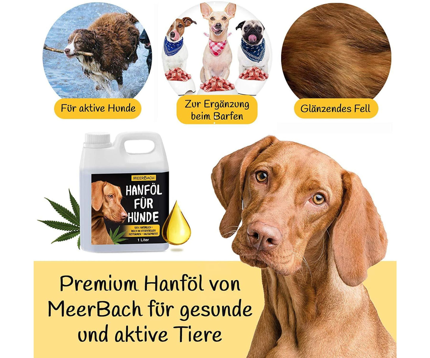 Hanf und Hemp - MeerBach Animal 1 Liter Hanföl für Tiere in Premiumqualität
