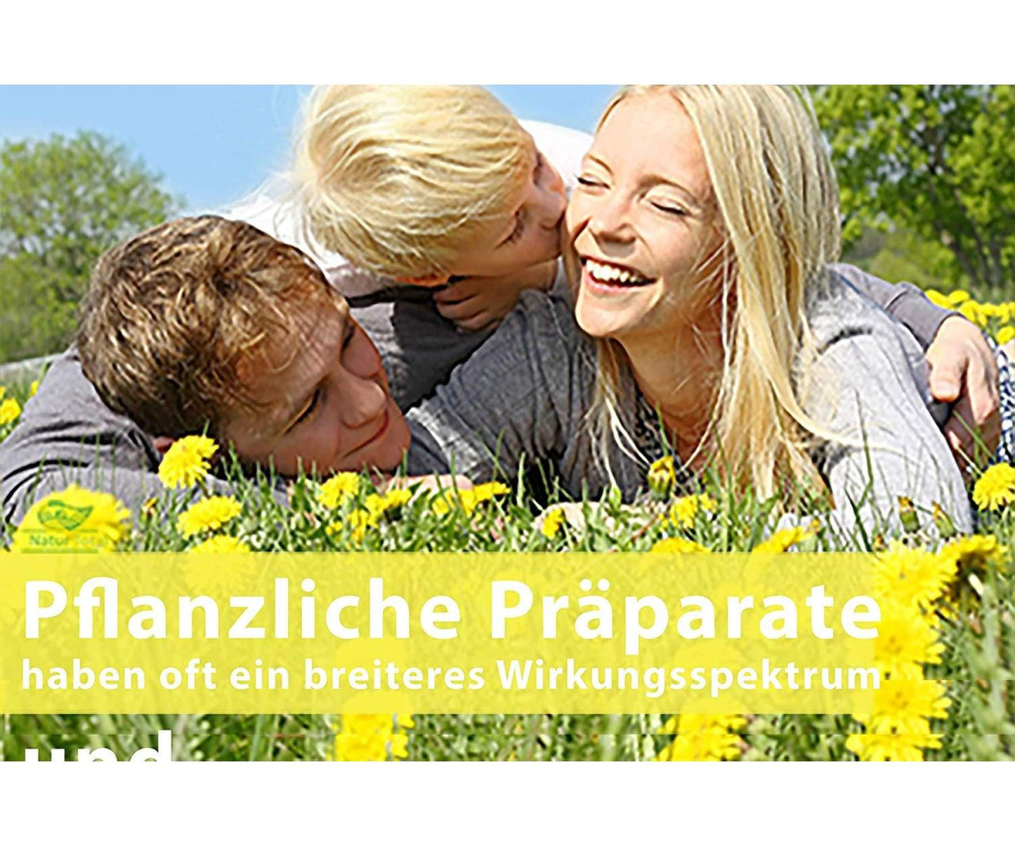 Hanf&Hemp - BOOSTER HANFÖL Softgel 180 Kapseln Hochdosiert - mit 1000mg