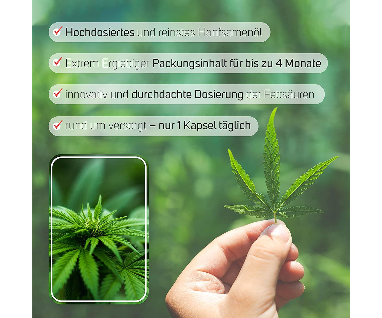 Iron Age - CANNACAPS - 120 Kaltgepresste Premium Hanf-Öl Kapseln à 1000mg