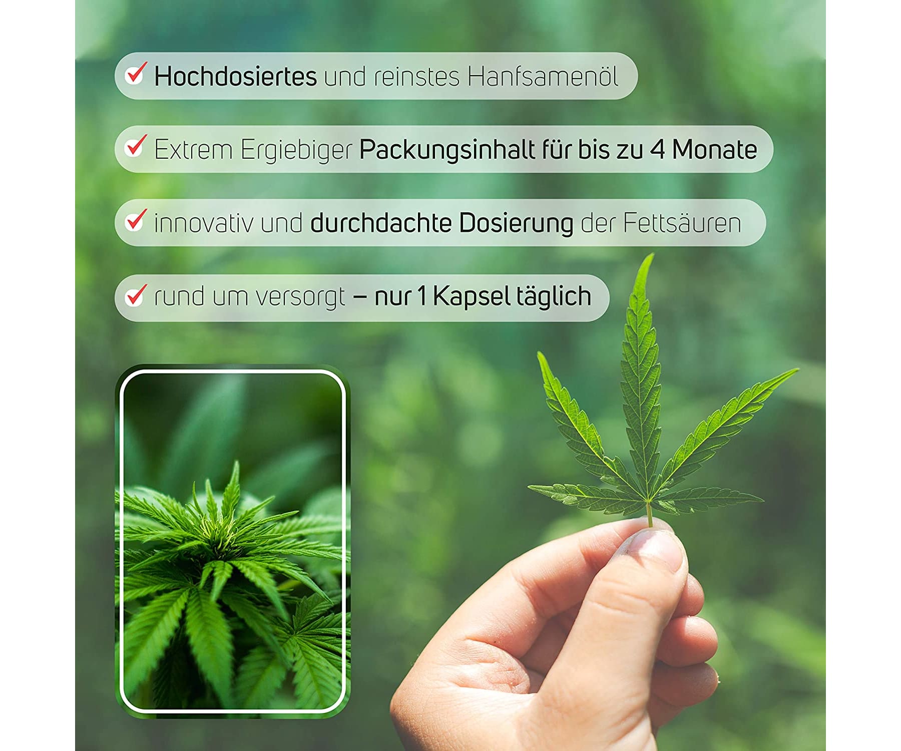 Iron Age - CANNACAPS - 120 Kaltgepresste Premium Hanf-Öl Kapseln à 1000mg