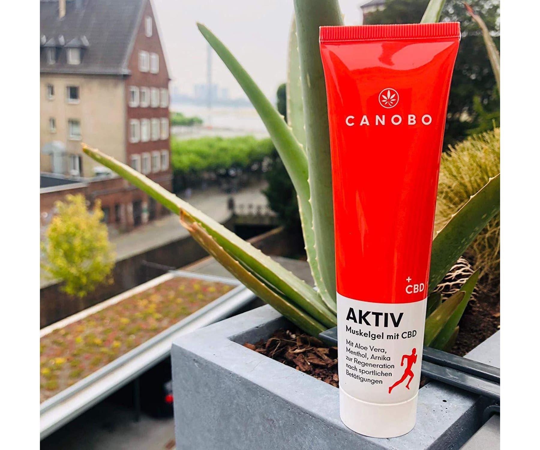 Canobo - CANOBO AKTIV CBD Muskelgel 200mg CBD - Muskelschmerzen