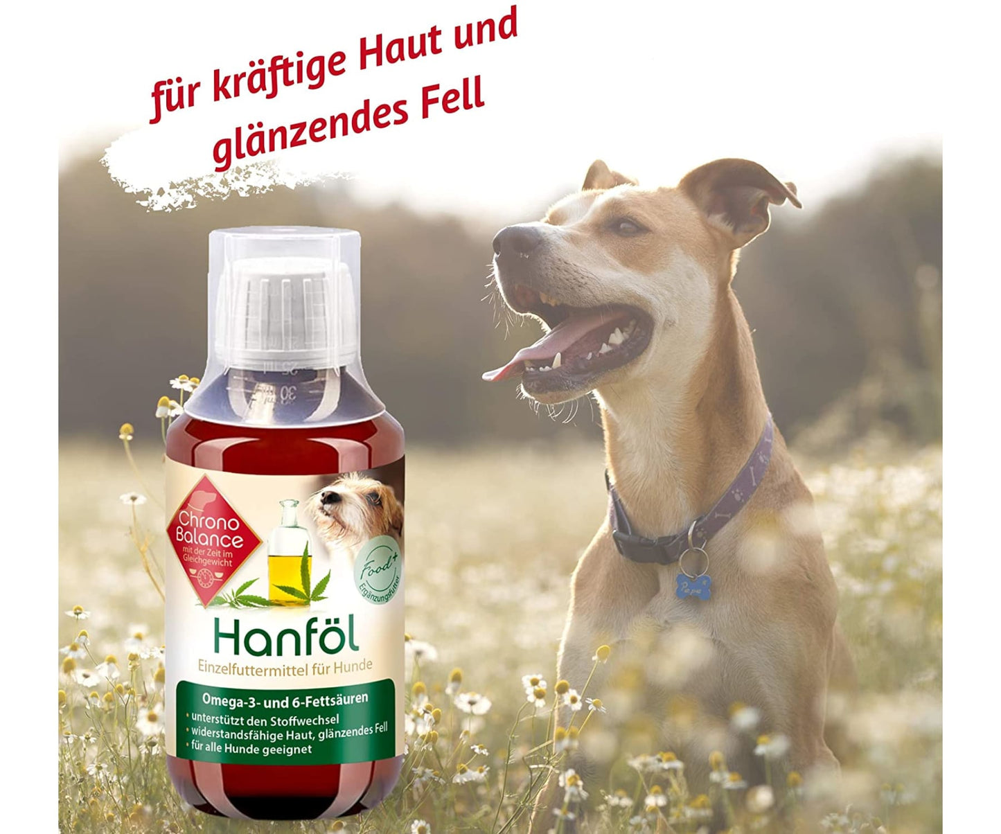 ChronoBalance - ChronoBalance Hanföl für Hunde - 100% Rein und Natürlich 100ml