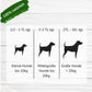 ChronoBalance - ChronoBalance Hanföl für Hunde - 100% Rein und Natürlich 100ml