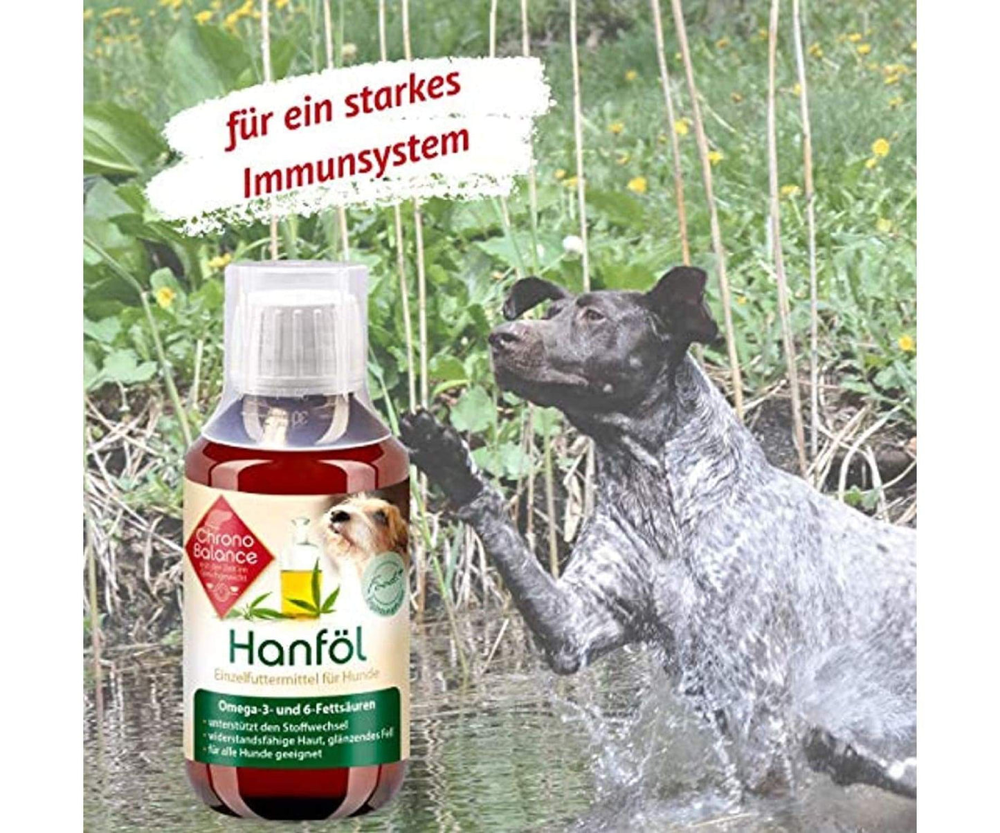 ChronoBalance - ChronoBalance Hanföl für Hunde - 100% Rein und Natürlich 100ml