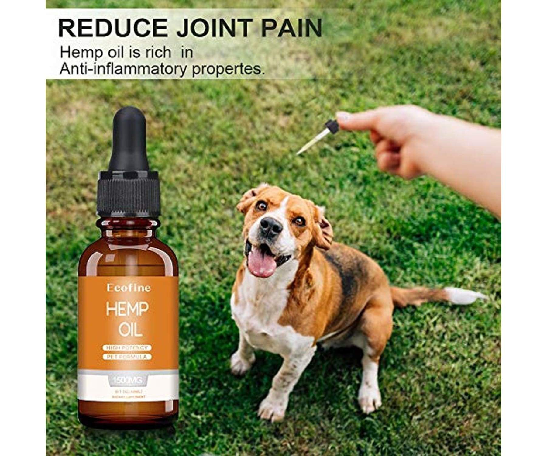 Ecofine - Ecofine Hanföl 1500mg - 30ml - für Hunde Bio - Haustiere - Schmerzlinderung