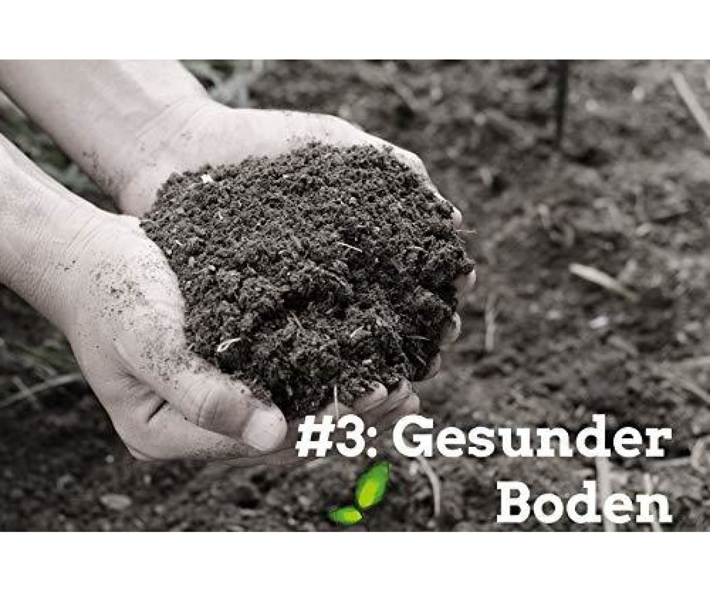 Farmgoodies - farmgoodies BIO Natur Hanfsamen Natur ungeschält im Ganzen 500g