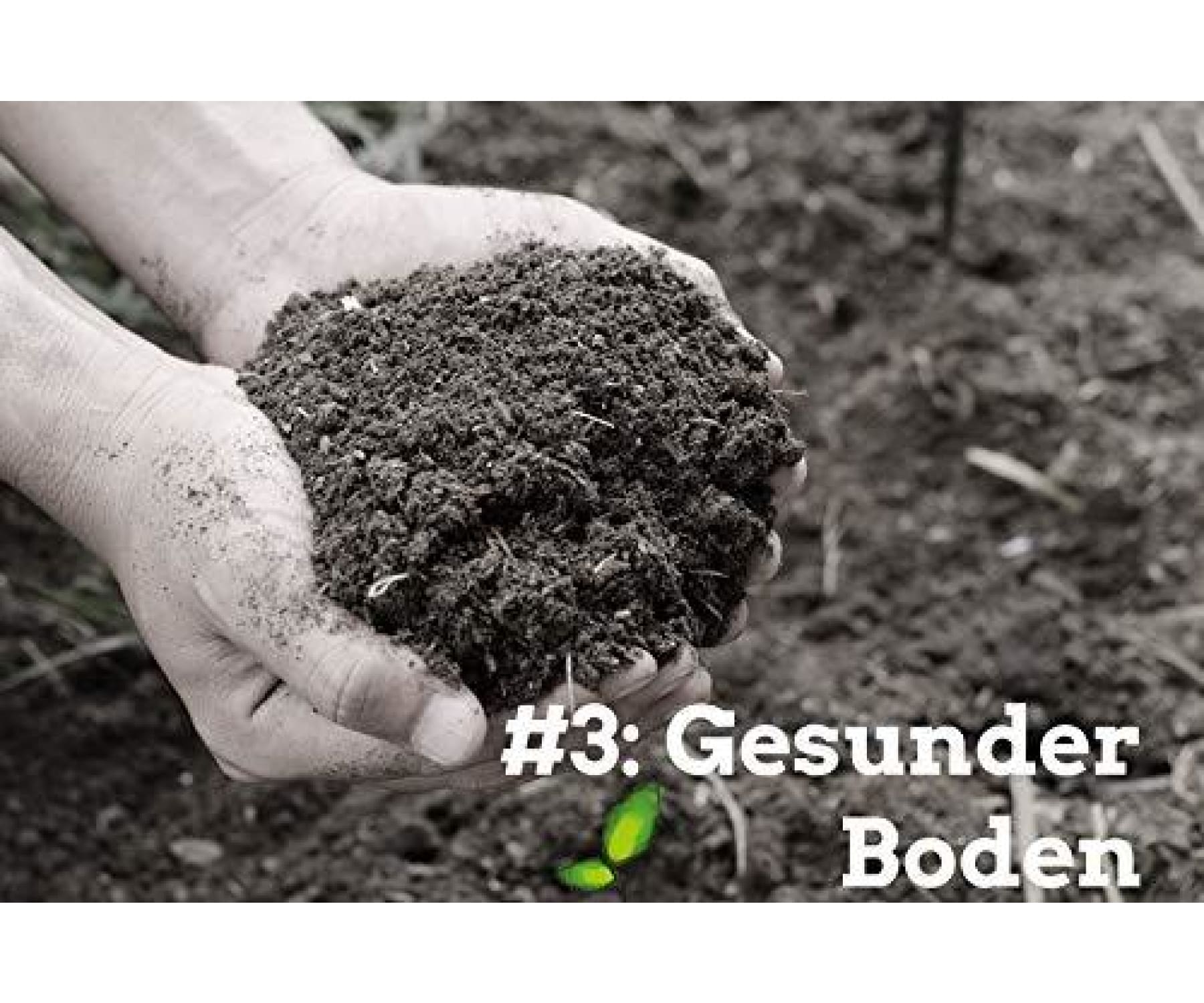 Farmgoodies - farmgoodies BIO Natur Hanfsamen Natur ungeschält im Ganzen 500g