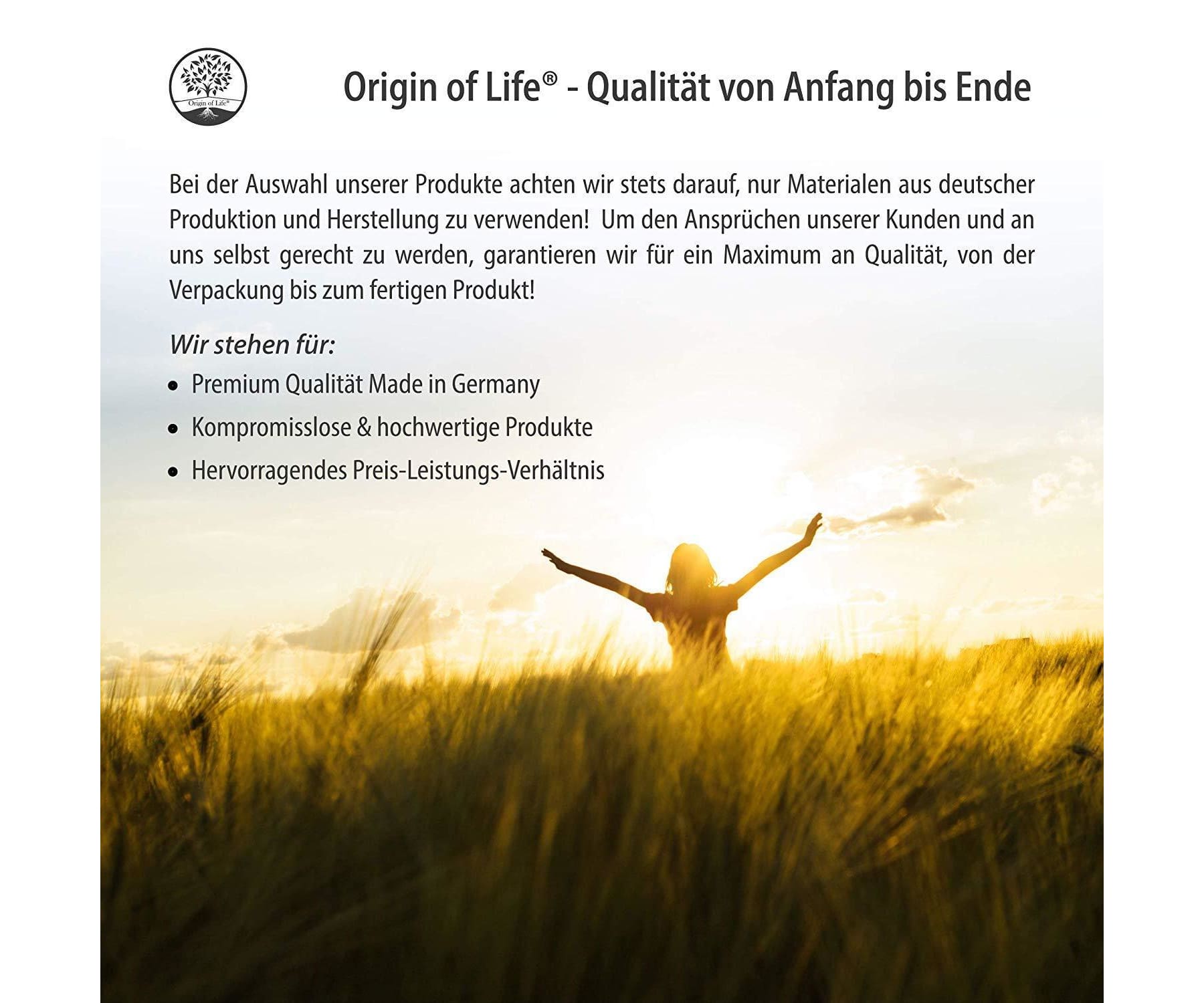 Hanf&Hemp - Hanföl 250 Softgel Kapseln HOCHDOSIERT mit 2000 mg Tagesportion