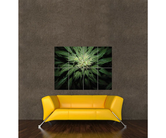 Hanf und Hemp - Poster Aufdruck Foto Cannabis 118x84cm